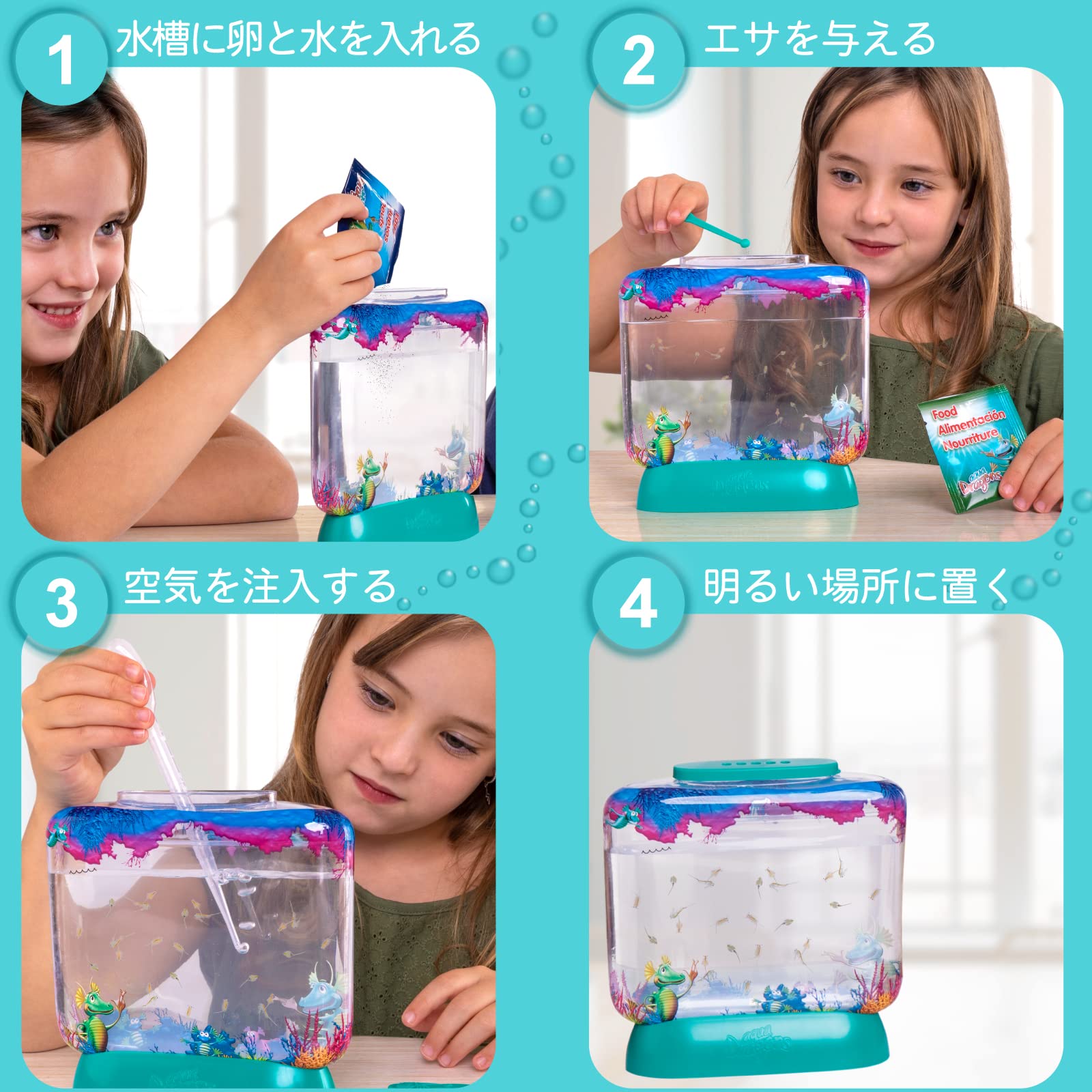 Amazon.co.jp: Aqua Dragons Aqua Dragon Breeding Kit Japanese